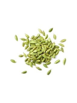 Cardamome fruit 100 gr Herboristerie de Paris soutien digestif soutien cardiaque