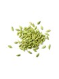 Cardamome fruit 100 gr Herboristerie de Paris soutien digestif soutien cardiaque