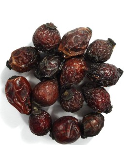 Cynorrhodon Baies entières Bio 100g Herboristerie de Paris églantier sauvage défenses immunitaires