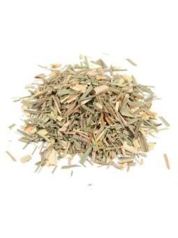 Citronnelle partie aérienne BIO 100 gr Herboristerie de Paris Cymbopogon citratus