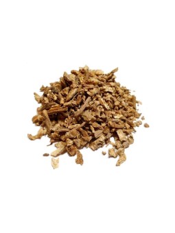 Angélique racine bio 100g Herboristerie de Paris digestion bronches défenses