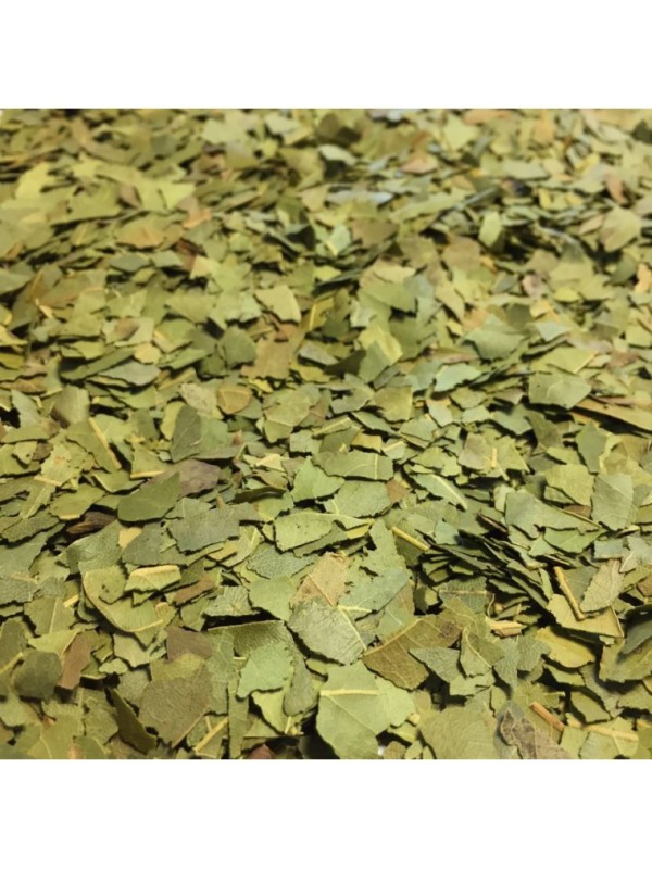 LAURIER SAUCE FEUILLE COUPÉ 100g HERBORISTERIE DE PARIS