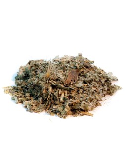 Cardon Cynara Artichaut Feuille coupée 100g Herboristerie de Paris Cynara cardunculus digestion