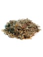 Cardon Cynara Artichaut Feuille coupée 100g Herboristerie de Paris Cynara cardunculus digestion