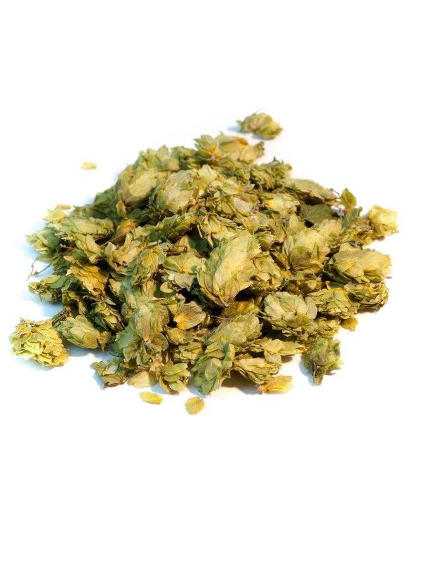 Houblon cônes coupés BIO 100g Herboristerie de Paris maintien du sommeil