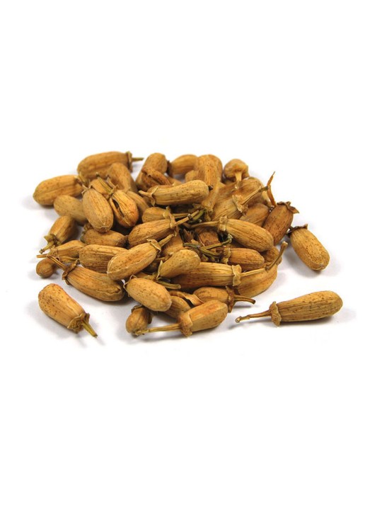 Oranger Bigaradier bouton 100 gr Herboristerie de Paris fleurs d'oranger relaxation digestion