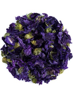 Mauve fleur bio extra 100 gr Herboristerie de Paris malva sylvestris mucilages