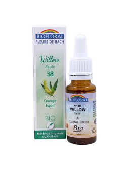 Saule, Willow n°38 - 20ml Biofloral