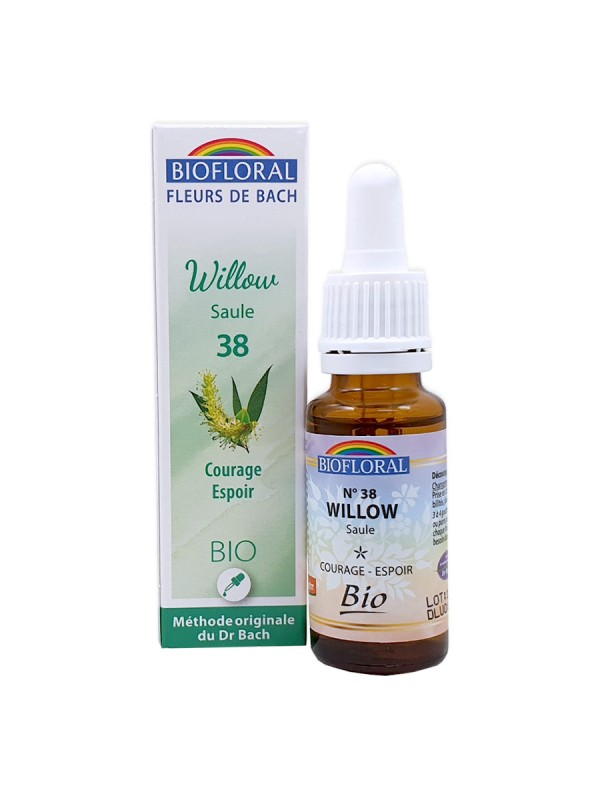 Saule, Willow n°38 - 20ml Biofloral
