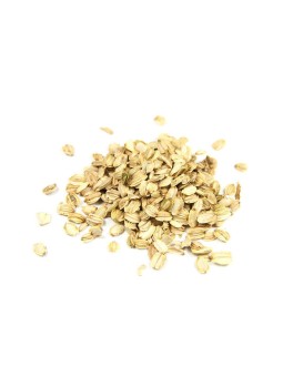 Angélique fruit 100 gr Herboristerie de Paris - tisane plante unitaire