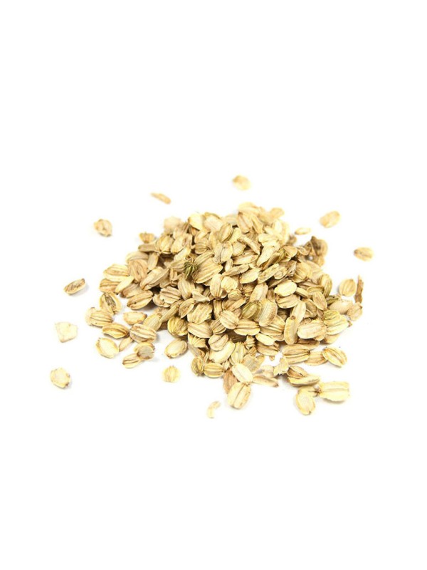 Angélique fruit 100 gr Herboristerie de Paris - tisane plante unitaire