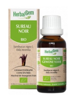 Sureau noir Bourgeons Flacon compte gouttes 50ml Herbalgem detoxification Herboristerie de paris