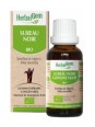 Sureau noir Bourgeons Flacon compte gouttes 50ml Herbalgem detoxification Herboristerie de paris