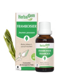 Framboisier bio Flacon compte gouttes 50ml Herbalgem équilibre féminin Herboristerie de paris