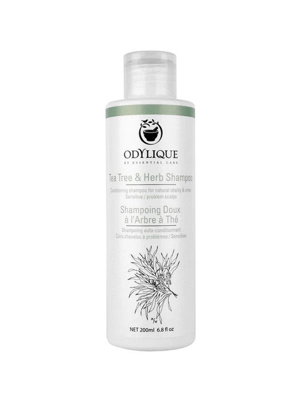 Shampoing Doux à l'Arbre à Thé 200ml Odylique tea tree lavande patchouli Herboristerie de paris