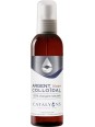 Oligo élément ARGENT colloïdal 20 ppm Catalyons Spray pulvérisateur 150ml Catalyons