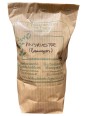 Bourgeons de Pin Sylvestre 100 gr vrac pour préparation d'infusion et tisane Herboristerie de Paris aide la respiration