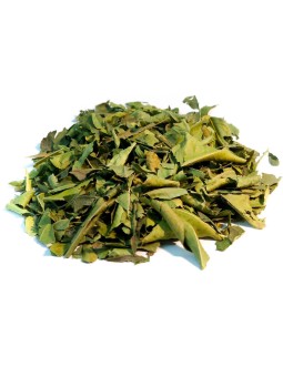 Oranger Bigaradier feuille coupée Bio 100gr Herboristerie de Paris feuilles d'oranger bio sommeil relaxation digestion