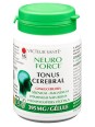 Neuro'Force 72 gélules Vecteur santé ginkgo biloba vitamine B5 Herboristerie de paris