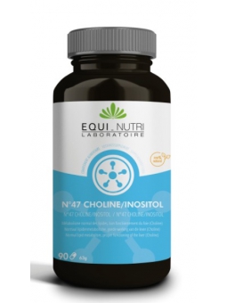 Choline Inositol 90 gélules végétales Equi - Nutri lipides foie Herboristerie de paris