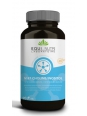 Choline Inositol 90 gélules végétales Equi - Nutri lipides foie Herboristerie de paris