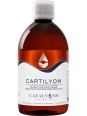Cartilyon 500 ml Catalyons cuivre