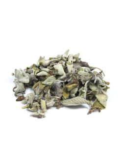 tisane de Sauge Feuille Entière Bio 100g Herboristerie de Paris défenses immunitaires cycle menstruel ménopause