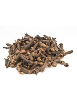 Giroflier bouton floral (clou de girofle) bio 100 gr Herboristerie de Paris clou de girofle digestion