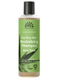 Shampoing Aloé Véra Cheveux Secs 250ml Urtekram
