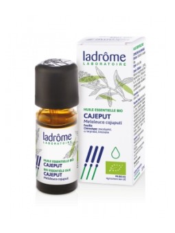 Cajeput Huile essentielle 10ml Ladrome Herboristerie de Paris
