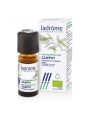Cajeput Huile essentielle 10ml Ladrome Herboristerie de Paris