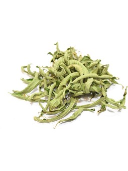 Verveine citronnée grande feuille BIO 50g Herboristerie de Paris santé intestinale et santé de la vésicule biliaire