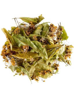 Tilleul officinal Fleurs + Bractées BIO 50g Herboristerie de Paris digestion relaxation sommeil