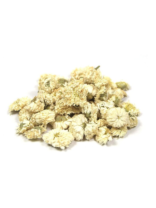 tisane Camomille Romaine capitule florale triée entière bio 50g Herboristerie de Paris vrac pour infusion sommeil