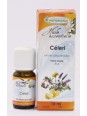 Huile essentielle Céleri 10ml Phytofrance digestion diurèse Herboristerie de paris