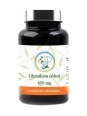 Glutathion réduit GSH 400 mg Planticinal antioxydant Herboristerie de paris