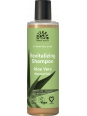 Shampoing Aloé Véra cheveux normaux 250ml Urtekram