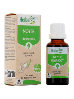 Noyer bio Flacon compte gouttes 50ml Herbalgem Herboristerie de paris