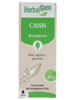 Extrait de bourgeons de Cassis bio 50ml Herbalgem articulations Herboristerie de paris