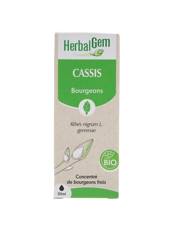 Extrait de bourgeons de Cassis bio 50ml Herbalgem articulations Herboristerie de paris