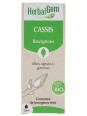 Extrait de bourgeons de Cassis bio 50ml Herbalgem articulations Herboristerie de paris