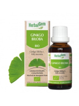 Ginkgo biloba 50 ml Herbalgem macérat de bourgeons frais mémoire concentration Herboristerie de paris