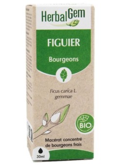 Extrait de bourgeons de Figuier bio 50 ml Herbalgem tranquillise Herboristerie de paris