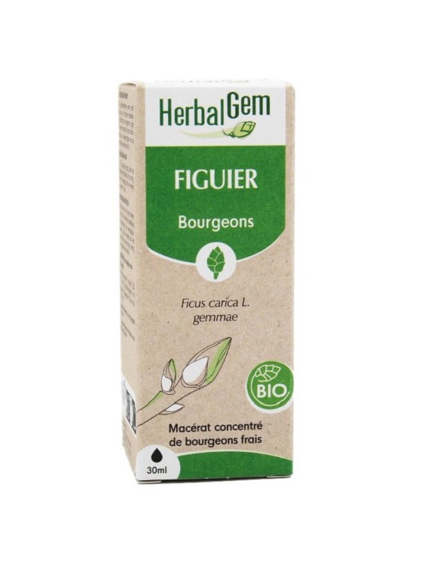 Extrait de bourgeons de Figuier bio 50 ml Herbalgem tranquillise Herboristerie de paris
