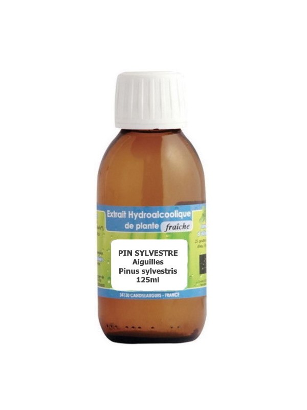 Extrait hydro alcoolique Pin sylvestre aiguilles 125ml Phytofrance Herboristerie de paris