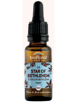 Elixir Etoile de Bethléem, Star of Bethleem n°29 20 ml Biofloral fleurs de bach Herboristerie de paris