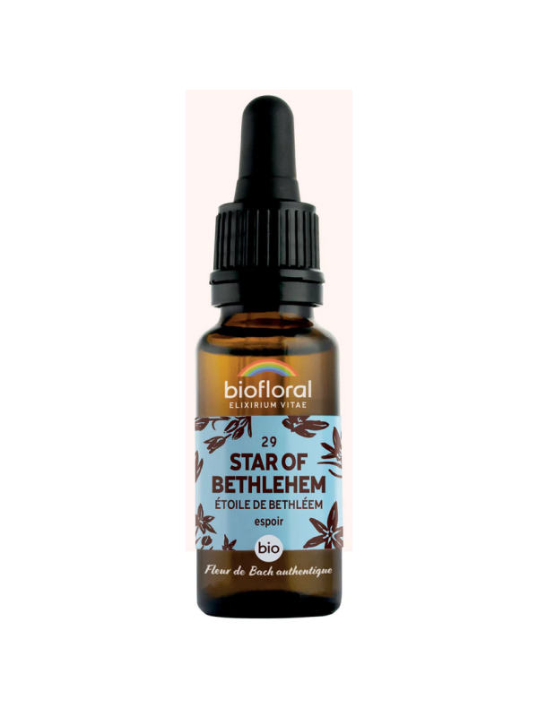 Elixir Etoile de Bethléem, Star of Bethleem n°29 20 ml Biofloral fleurs de bach Herboristerie de paris