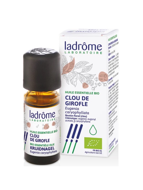 Huile essentielle de Clou de Girofle Bio 10ml Ladrome aide au maintien de la digestion Herboristerie de paris