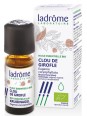 Huile essentielle de Clou de Girofle Bio 10ml Ladrome aide au maintien de la digestion Herboristerie de paris
