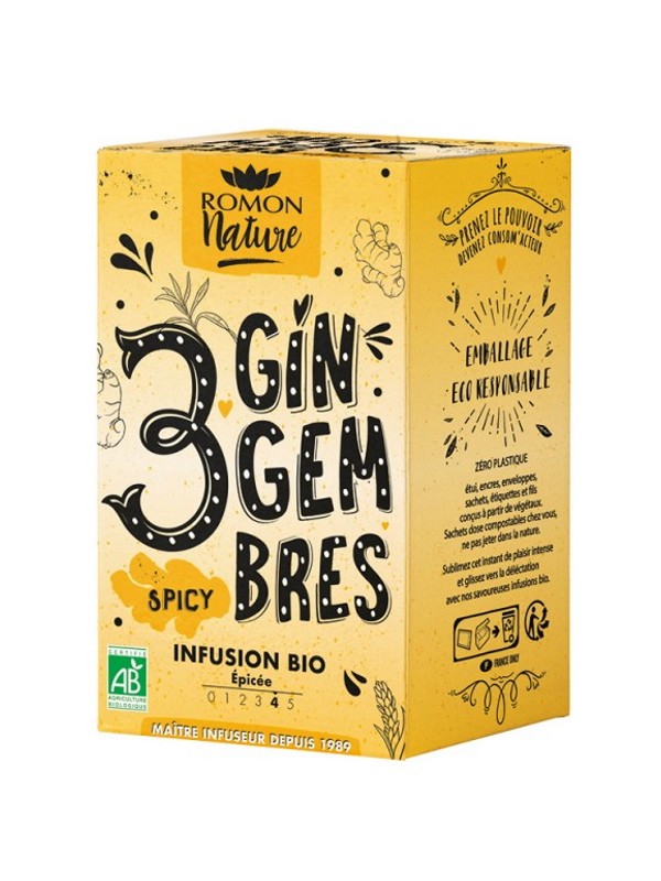 Infusion plaisir 3 Gingembre bio Romon Nature Herboristerie de Paris gingembre galanga curcuma réglisse